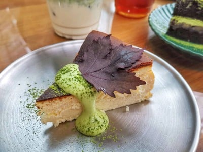 Botanist activity space & cafe