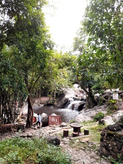 อัตราค่าบริการ