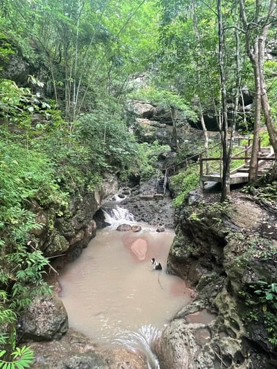 น้ำตกแพมบก