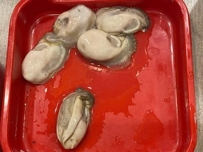 หอยนางรม