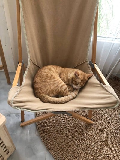 หลับโชว์