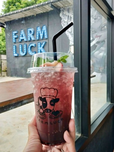 Mix Berry Soda