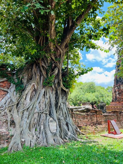 8 ชั่วโมงใน อยุธยา