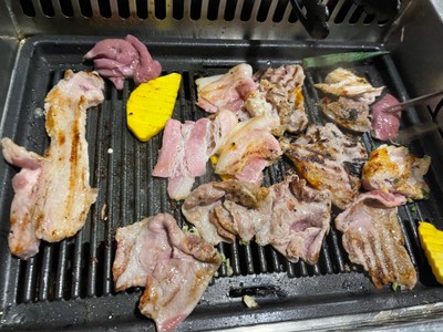สันคอหมูโชกุน