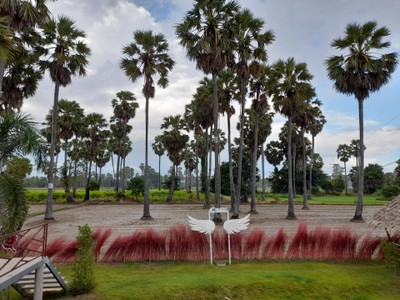 บรรยากาศ