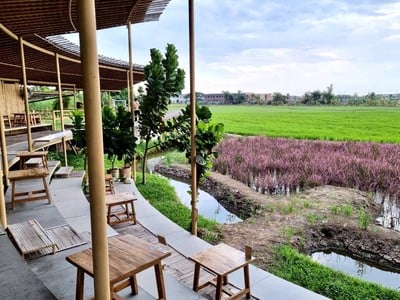 ชะตา ธรรมชาติ