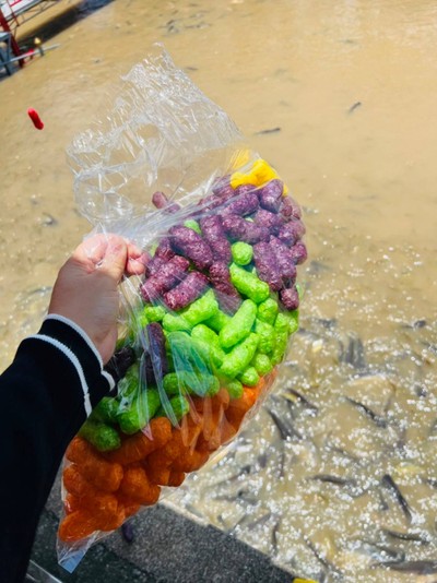 8 ชั่วโมงใน อยุธยา