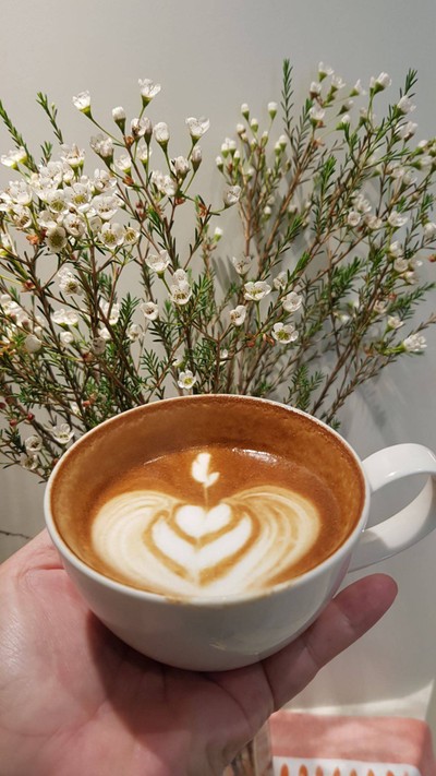 HOT CAFFE LATTE