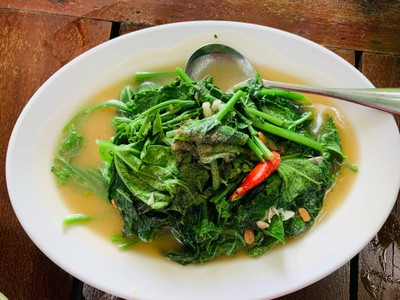 ผัดยอดฟักแม้ว