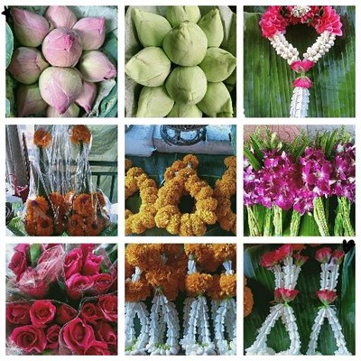 รูปโปรไฟล์