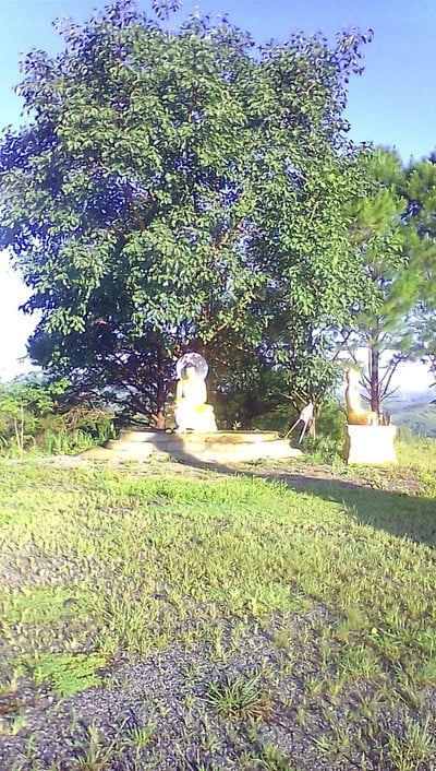 วัดใจทน