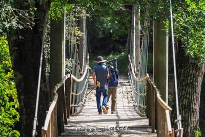 เขตรักษาพันธุ์สัตว์ป่าห้วยขาแข้ง