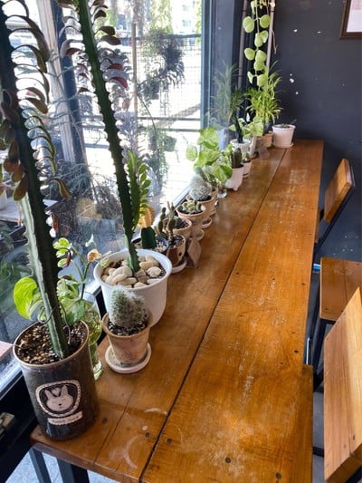 โรงไม้ คาเฟ่