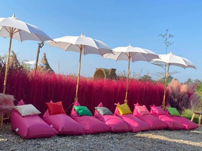 สีสันสวยงาม