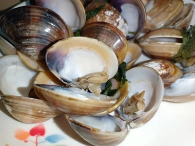 หอยตลับนึ่งโหระพา (boiled clams with basil )