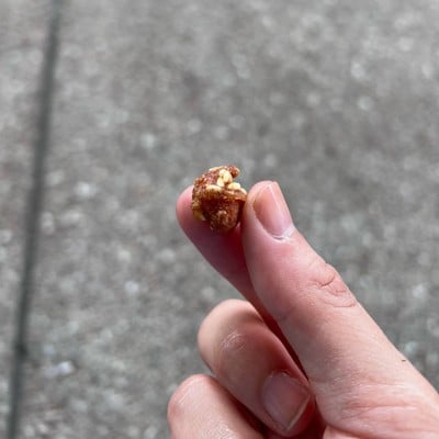 ถั่วทอด