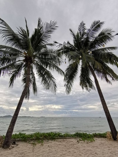 สระว่ายน้ำ/ชายหาด