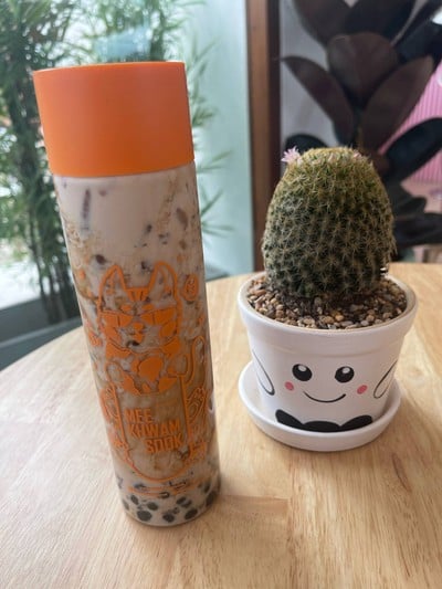 นมสดโคฟุกุ