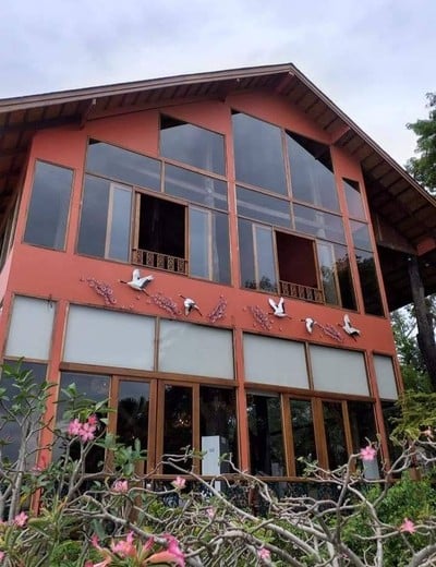 Wood land เมืองไม้