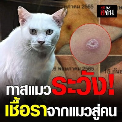 ⭐ กระเพาะปลาน้ำแดง ข้าวแกง อาหารตามสั่ง รสเด็ด👍 ⭐ กระเพาะปลาน้ำแดง ข้าวแกง ตามสั่ง ครัวตัวตอ⭐