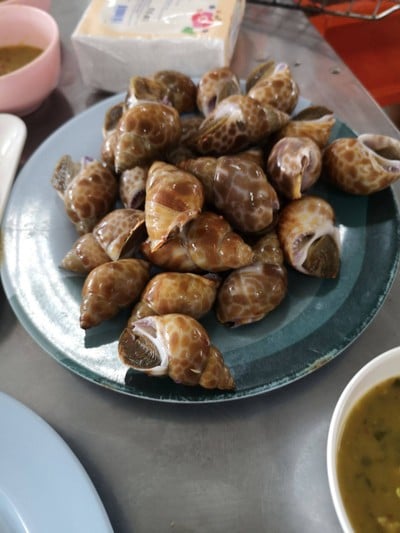 หอยหวาน