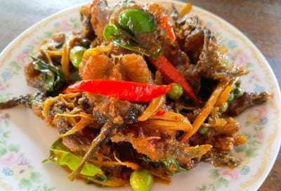 ปลาดุกผัดพริกแกง