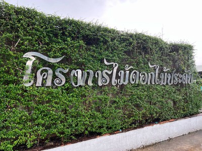 ตลาดต้นไม้ราบ 11