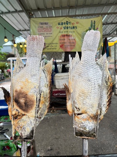 สด สะอาด ไม่มีกลิ่นโคลน