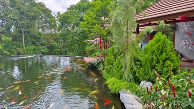 สวนผึ้งไฮแลนด์