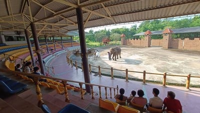 บรรยากาศ