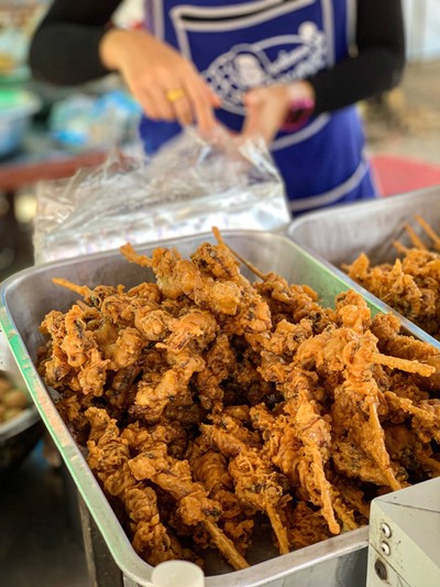 หนวดปลาหมึก