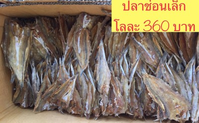 กรอบ อร่อย