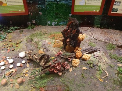 บรรยากาศ