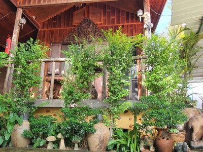 บริเวณโดยรอบ