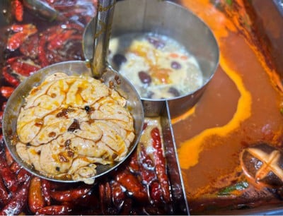 สมองหมู