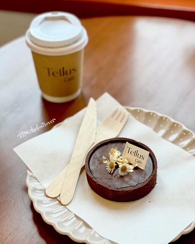 Chocolate Caramel Tart
