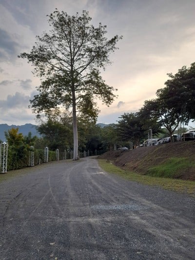 บริเวณโดยรอบ