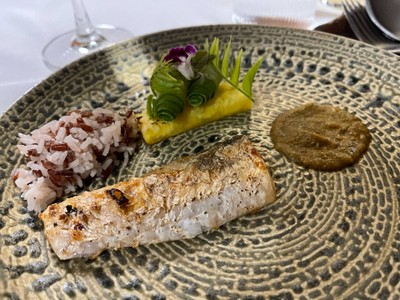 Barramundi