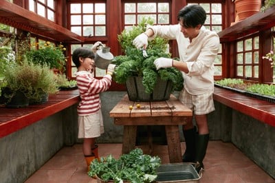 ห้องพัก
