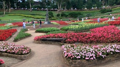 สวนแม่ฟ้าหลวง