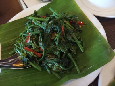 ผัดยอดฟักแม้ว