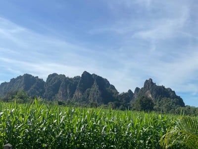 สวนดอกไม้เขาน้อย 360 องศา