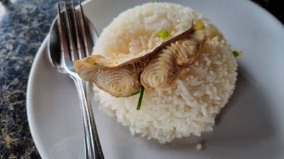 อาหาร หรือ เครื่องดื่ม