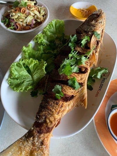 ปลากุเลาทอด