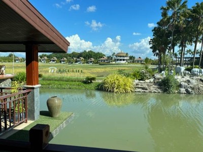 บรรยากาศ