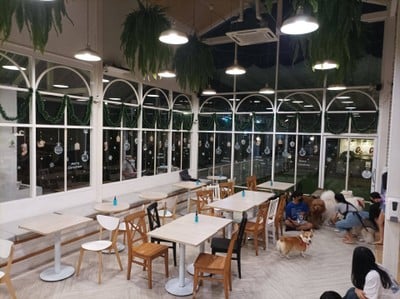 บรรยากาศ Dog In Town Ari อารีย์