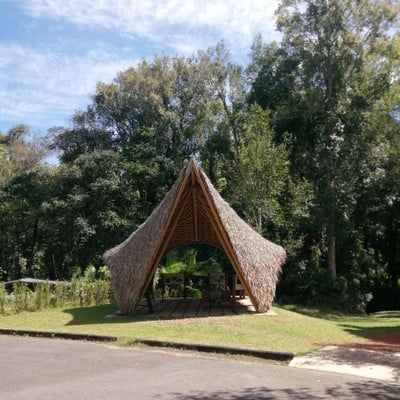 บรรยากาศ ผากล้วยไม้ (ลานกางเต็นท์ )