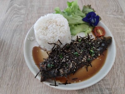 เมนูของร้าน WHITE CACTUS Sai Noi