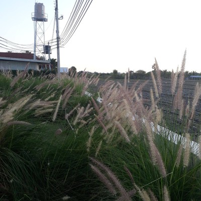 วิวนอกห้อง