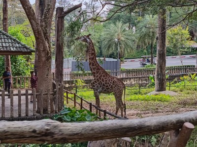 บรรยากาศ